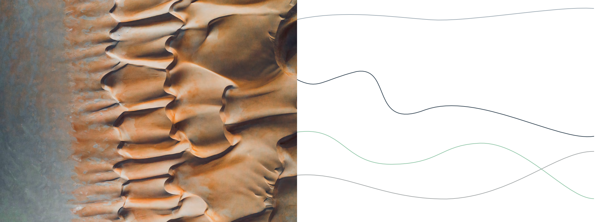 La motivación es 
la energía que nos 
mueve